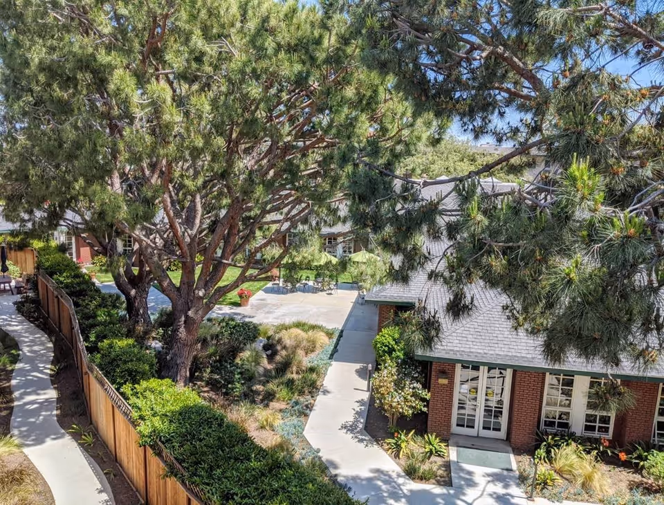 Outdoor view of Carmel Village showing a paved walkway lined with bushes and trees, a wooden fence on the left, and a brick building with large windows and a gray roof on the right. There are patio tables and chairs visible in the background under the shade of large trees.