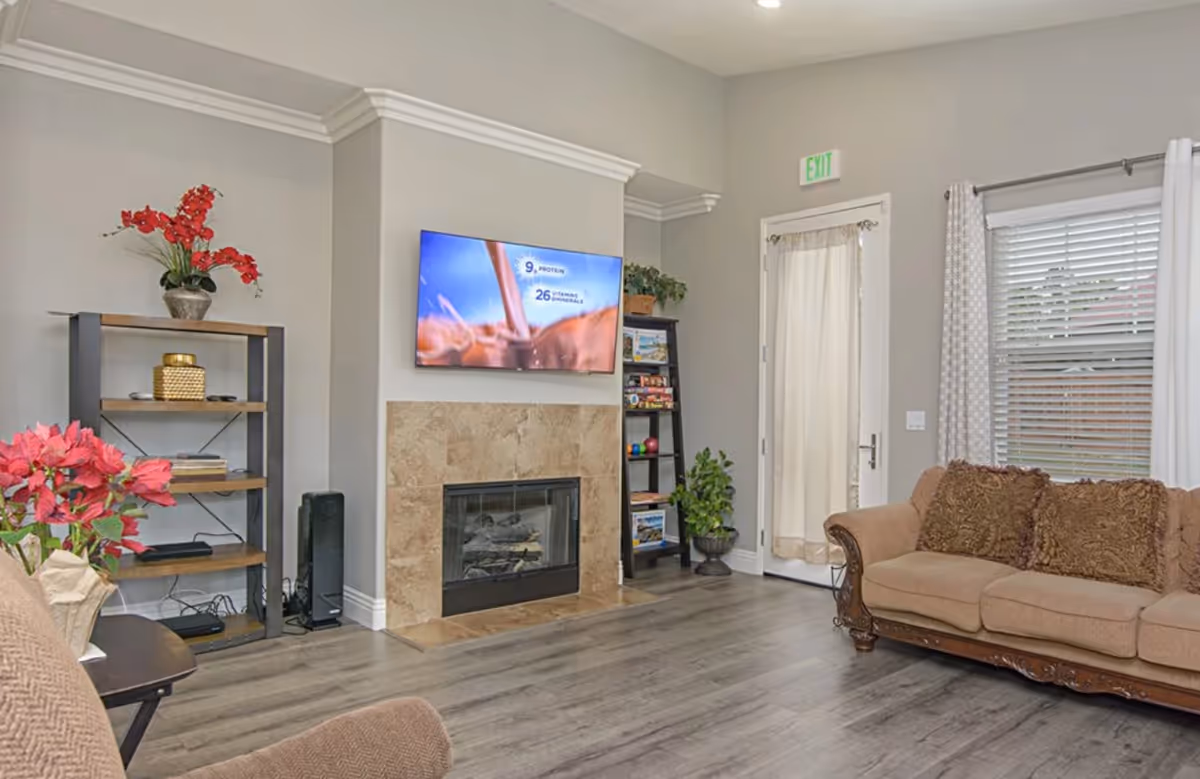 Comfortable living room with a wall-mounted TV above a tiled fireplace, sofas, bookshelves, plants, and an exit door.