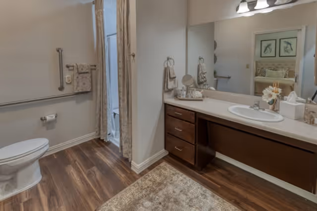 A bathroom with a toilet, grab bars, a towel rack with towels, a vanity with a sink, a large mirror, and a shower area with a curtain. The floor is wood-style, and there is a rug in front of the vanity. The reflection in the mirror shows part of a bedroom with framed artwork.