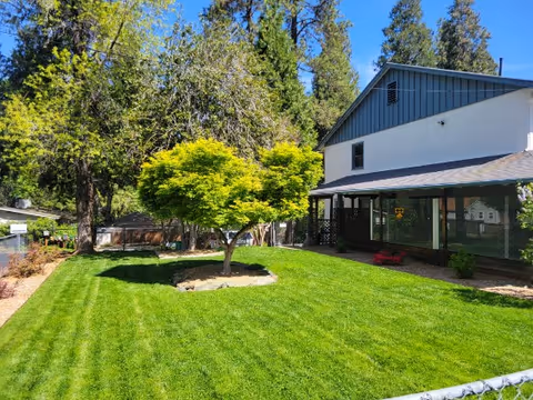 A well-maintained green lawn with a small tree in the center, surrounded by taller trees and bushes. To the right, there is a two-story building with a covered porch area and large windows. The sky is clear and blue, indicating a sunny day.