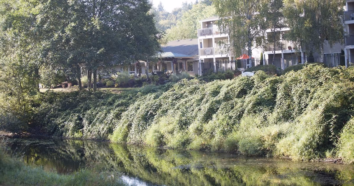 Aegis Living Redmond facility viewed from across a calm body of water, with lush green bushes and trees along the water's edge and multi-story residential buildings in the background under a clear sky.