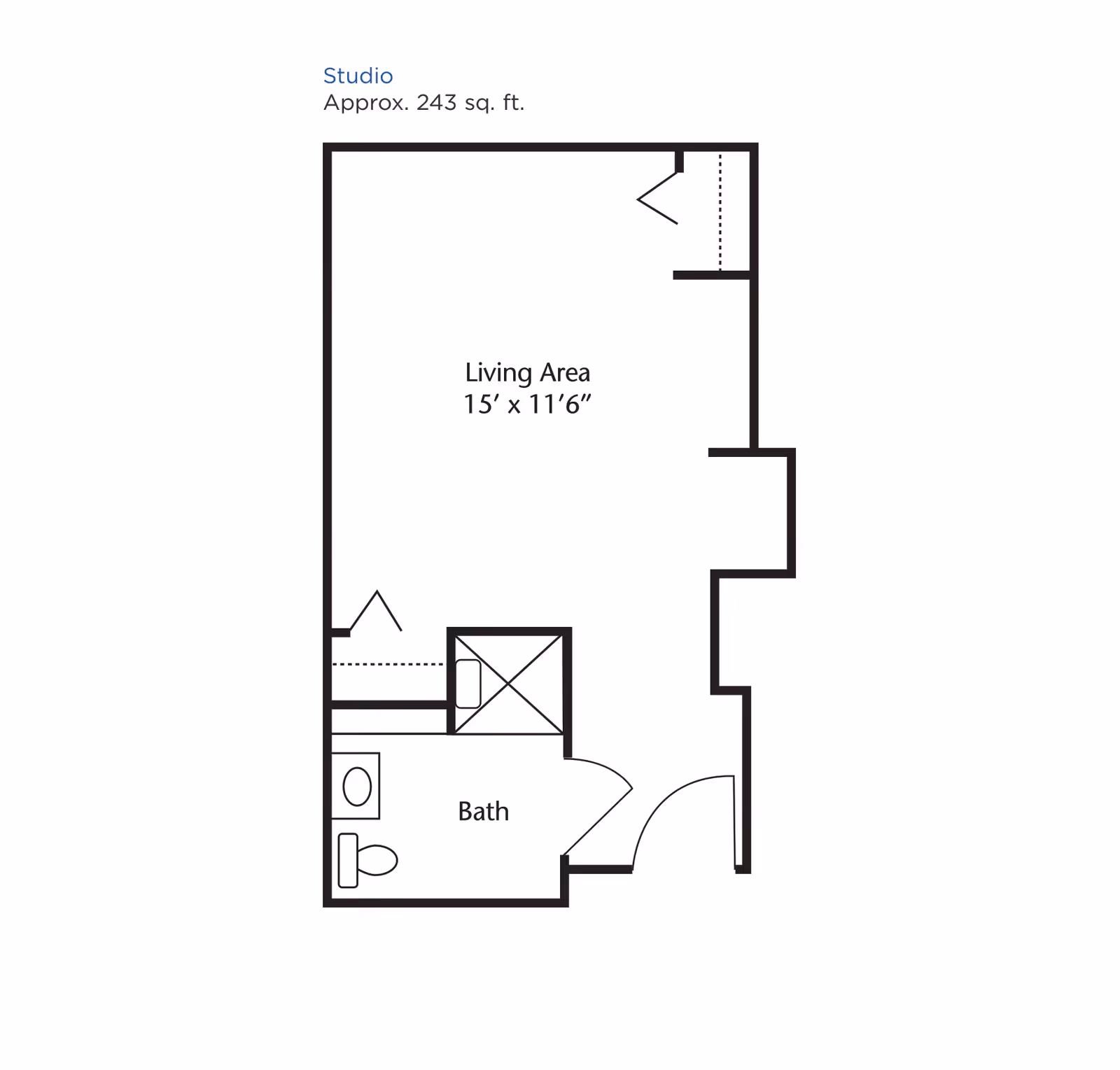 Floor plan of a studio apartment approximately 243 square feet, showing a living area measuring 15 feet by 11 feet 6 inches, and a bathroom with a toilet and shower.