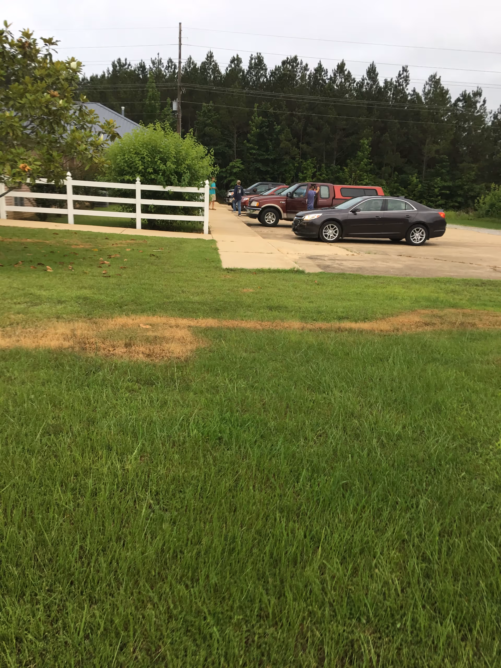 Grassy front lawn and driveway with several parked cars, a white fence, and trees in the background.
