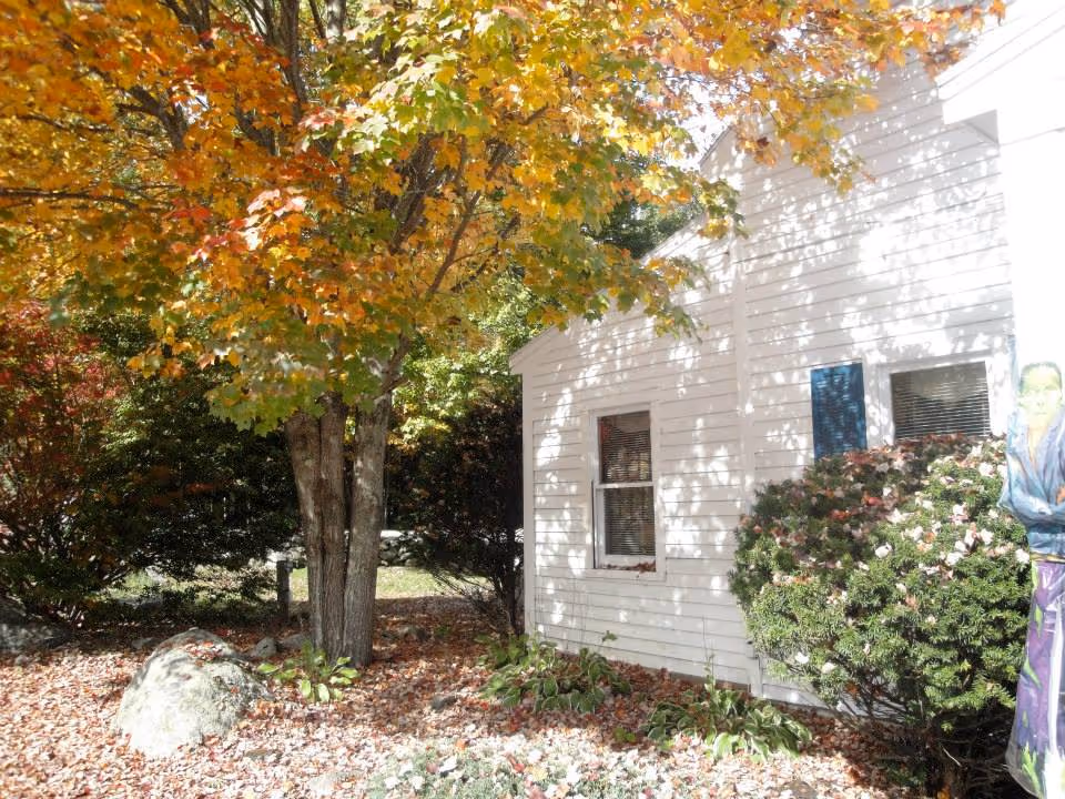 Exterior view of a white building partially obscured by a tree with orange and yellow autumn leaves, surrounded by bushes and fallen leaves on the ground.