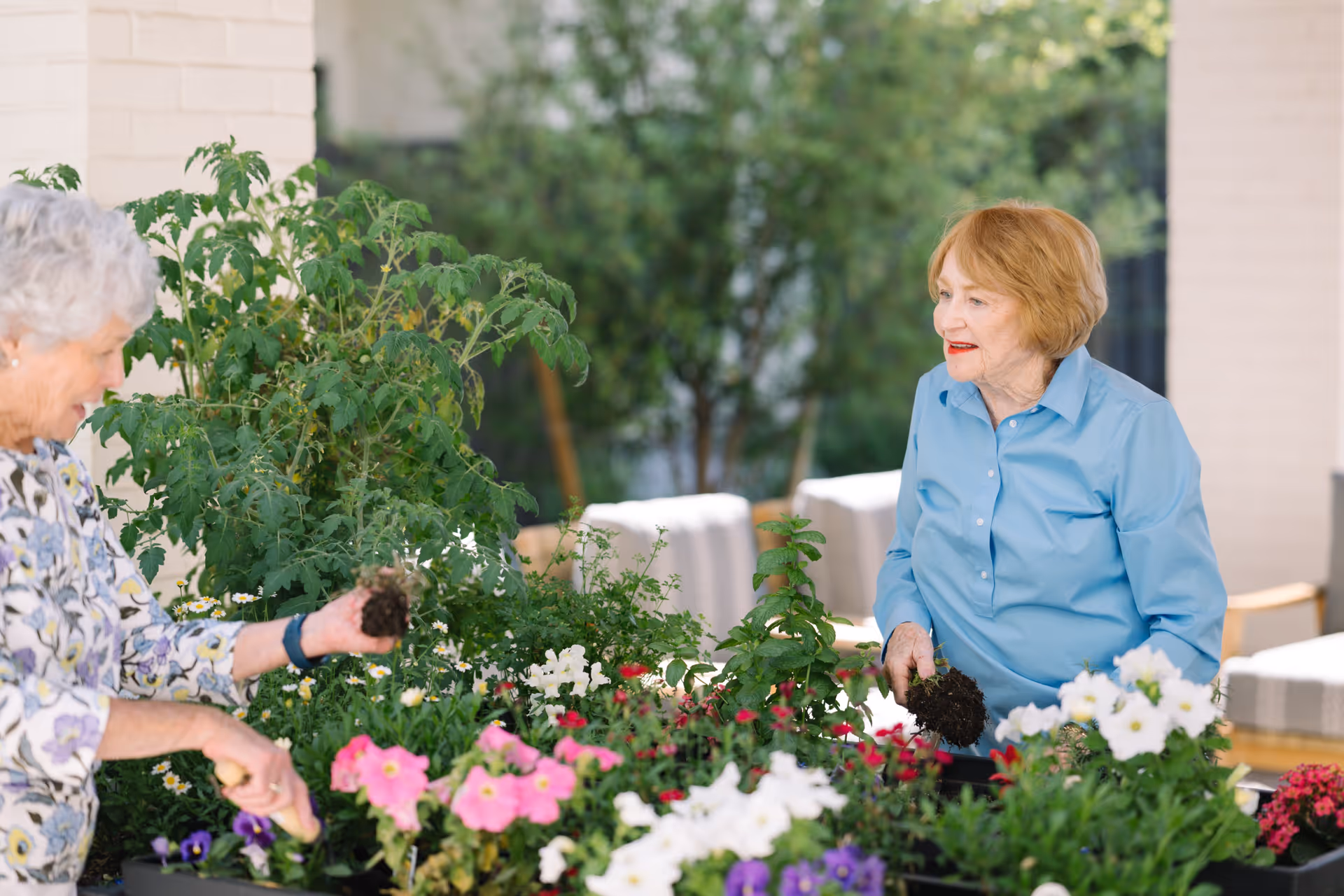 Two elderly women gardening together outdoors, holding small plants with soil, surrounded by various colorful flowers and green plants.