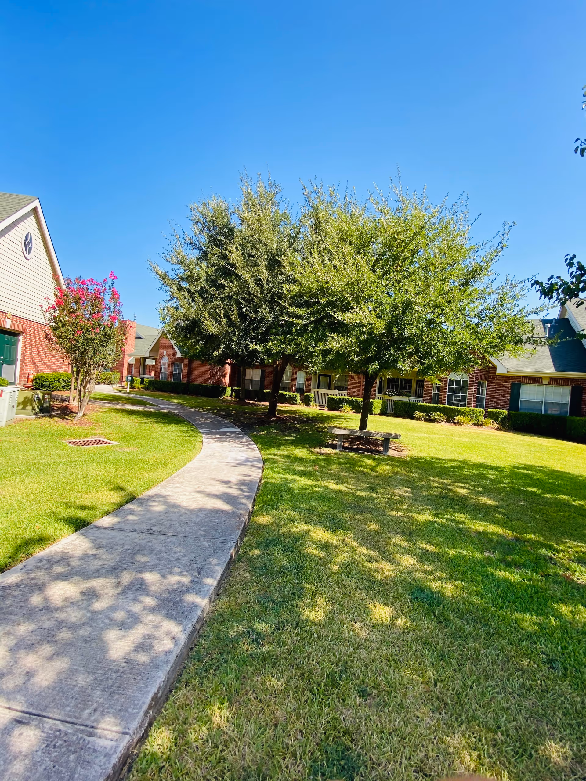 Curved concrete walkway through a grassy courtyard with trees and brick single-story residential buildings under a clear blue sky.