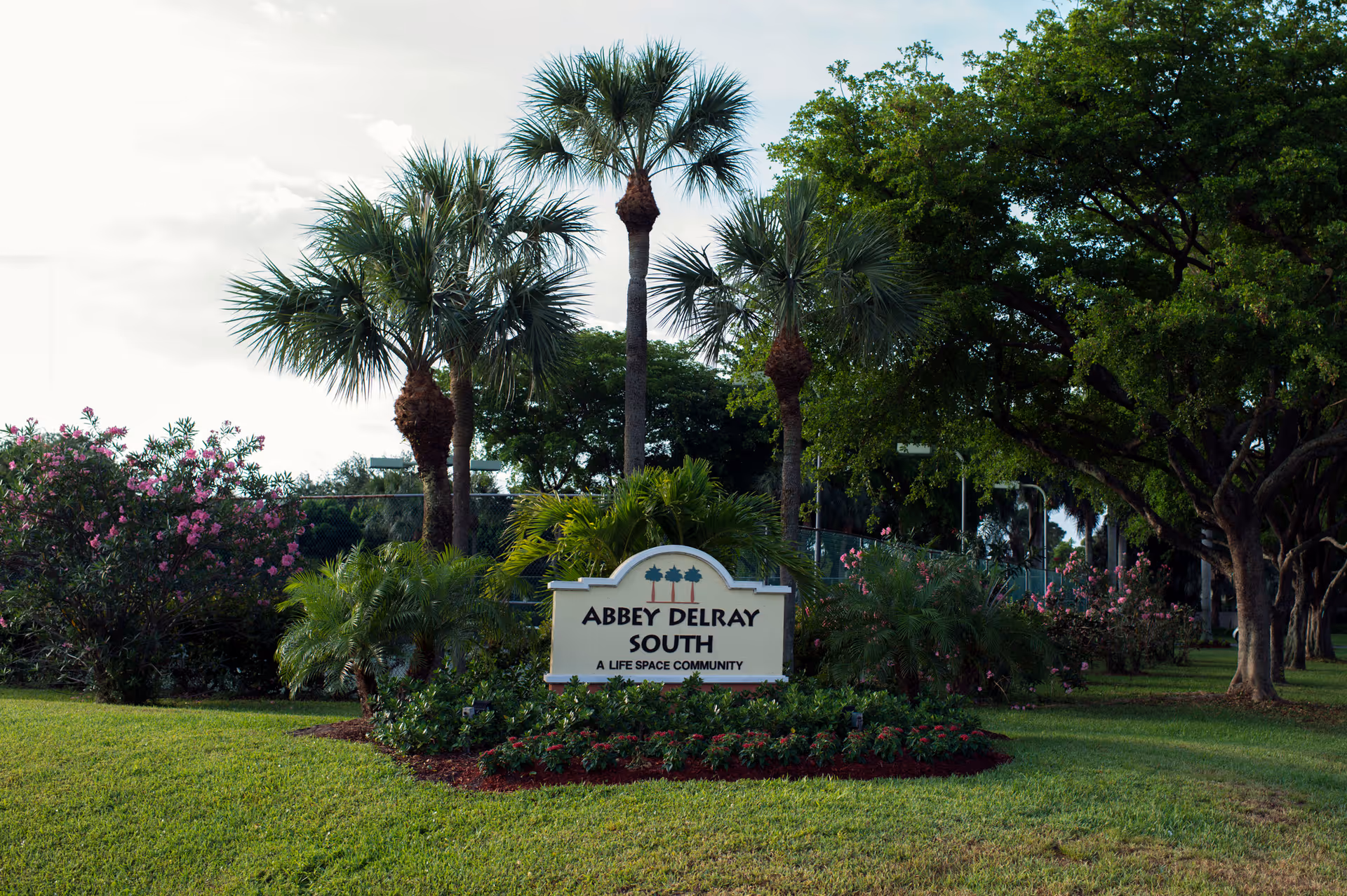 A landscaped outdoor area with palm trees, flowering bushes, and a sign that reads 'Abbey Delray South A Life Space Community' surrounded by green grass and plants.