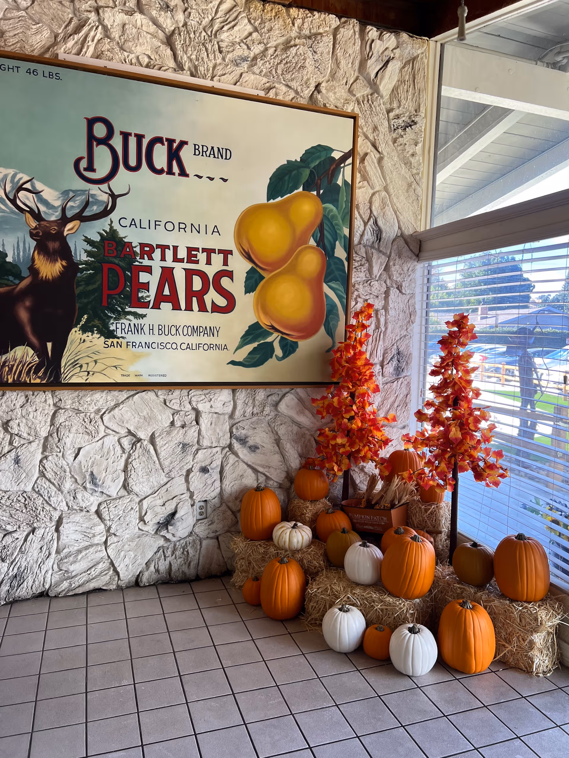 An indoor corner decorated with a vintage Buck Brand Bartlett Pears poster on a textured stone wall. Below the poster, there is a fall-themed display featuring orange and white pumpkins arranged on hay bales, along with two artificial trees with orange autumn leaves. A large window with blinds lets in natural light and shows an outdoor view.