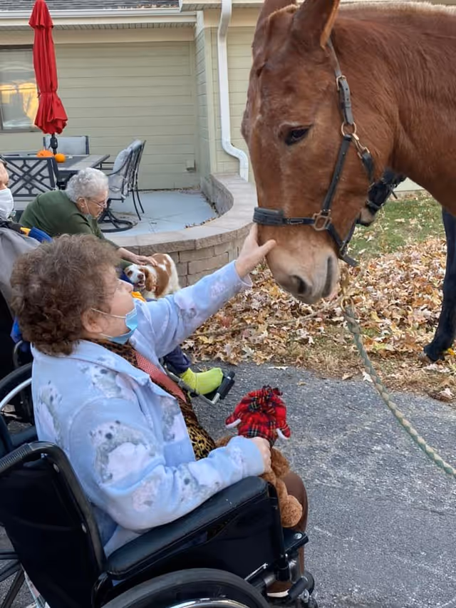 An elderly woman in a wheelchair reaches out to pet a large horse outside a senior living facility while other residents and a small dog sit nearby.
