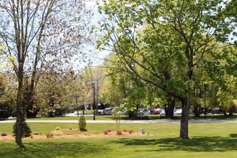 A green outdoor area with grass, trees, and a landscaped flower bed. In the background, there is a parking lot with several parked cars and some street lamps.