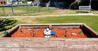 A small rectangular garden bed filled with red mulch, featuring a small white statue of a child reading a book in the center. The garden bed is bordered by wooden planks and is situated outdoors on a grassy area with a metal fence and a bench in the background.