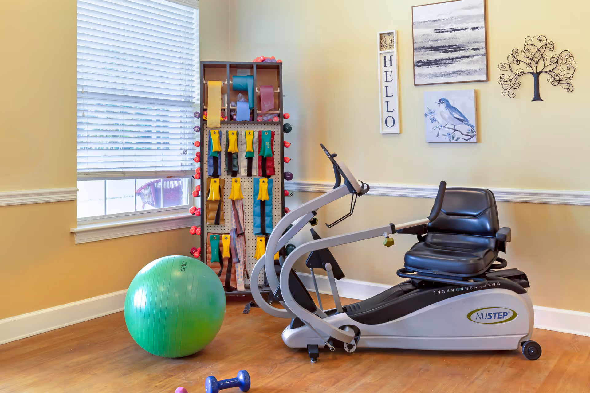 A small exercise room with a recumbent exercise bike, a green exercise ball, a rack holding various resistance bands and small dumbbells, and wall decorations including a 'HELLO' sign, a painting of a bird, an abstract painting, and a metal tree sculpture.
