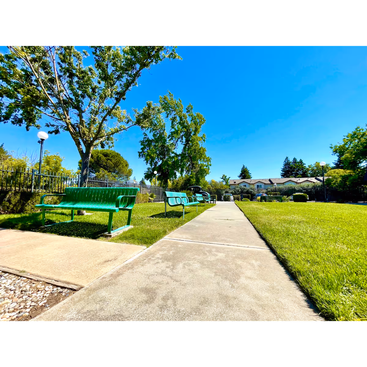 Outdoor area with a concrete walkway flanked by green metal benches on the left and a well-maintained grassy lawn on the right. Trees and shrubs surround the area, with a black metal fence and residential buildings visible in the background under a clear blue sky.