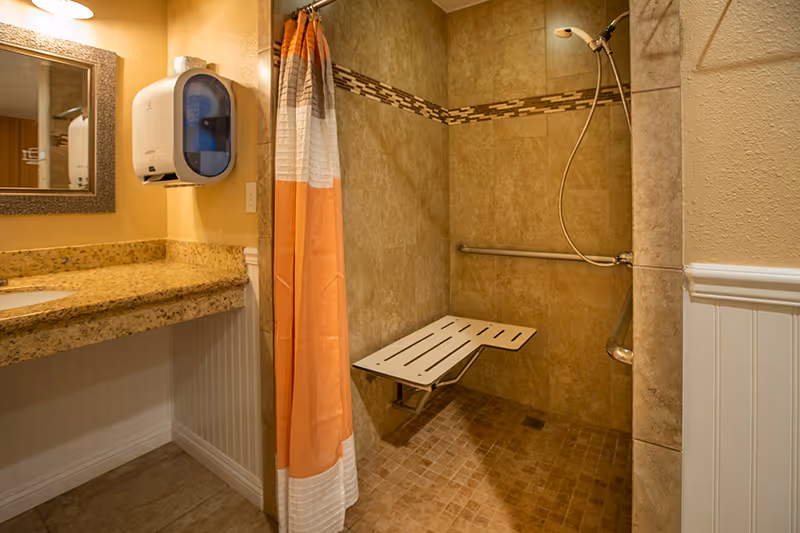 A bathroom with a walk-in tiled shower featuring a fold-down white shower seat and a handheld showerhead. The shower has a decorative tile border and a grab bar. Next to the shower is a granite countertop with a sink, a wall-mounted soap dispenser, and a mirror above it. The shower curtain is orange and white.