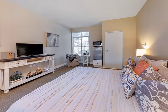 Bright furnished studio-style bedroom with a large bed, TV stand, armchair and window.