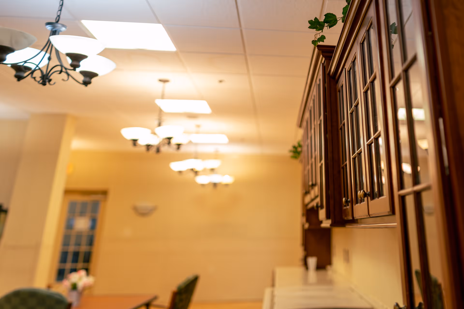 Interior view of a room with wooden cabinets on the right side and multiple ceiling light fixtures. There is a table with chairs and a vase of flowers in the background, suggesting a communal or dining area.