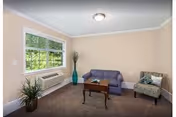 Small living room with a sofa, armchair, coffee table, window with blinds, and potted plants.