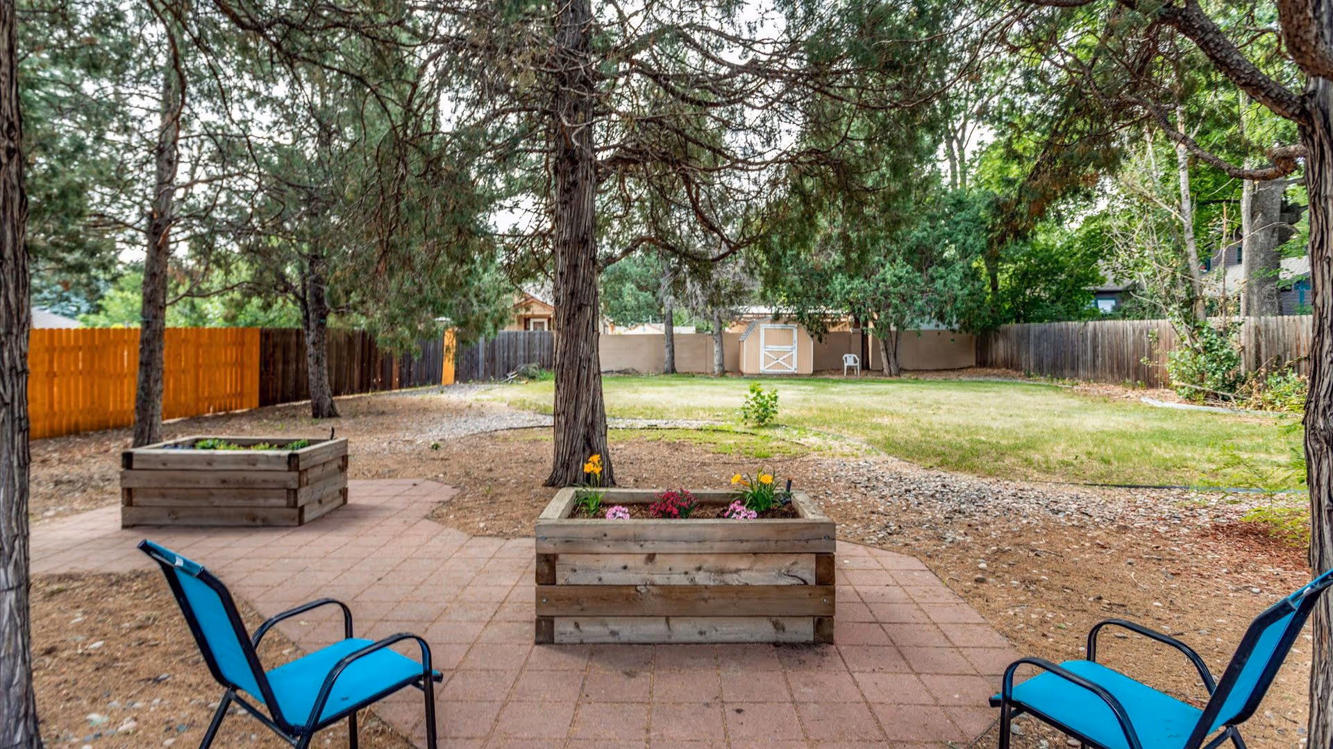 Outdoor patio area with two blue chairs facing a wooden planter box with flowers, surrounded by trees and a fenced yard with grass and a small shed in the background.
