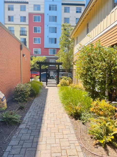 A paved walkway between two buildings with landscaped greenery on both sides leading to a black metal gate. In the background, there is a multi-story building with colorful panels in blue, red, and beige.