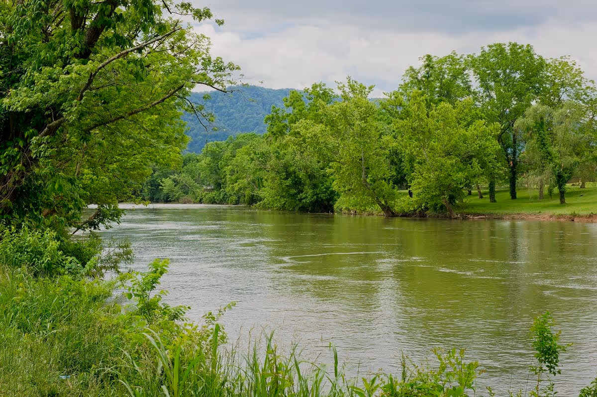 A calm river flowing through a lush green landscape with trees lining both banks and hills visible in the background under a cloudy sky.