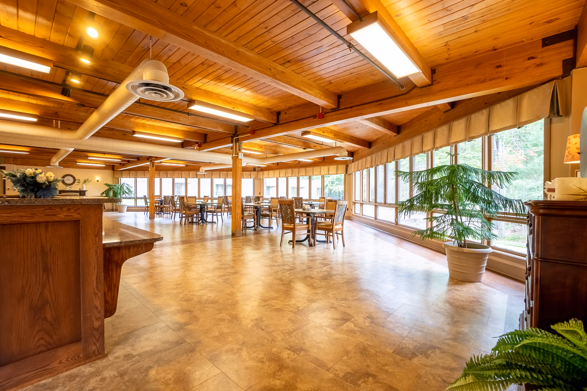 Spacious dining room with wooden ceiling beams, large windows along one side letting in natural light, multiple tables and chairs arranged throughout the room, and several potted plants placed near the windows and corners.