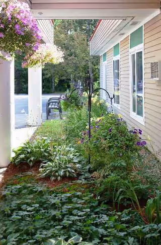 Outdoor garden path along a Cedar Ridge Center building with flowering plants and greenery.