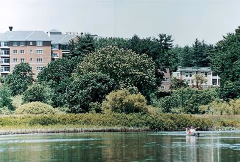 Riverside scene with trees, a distant building, and a small boat on calm water.