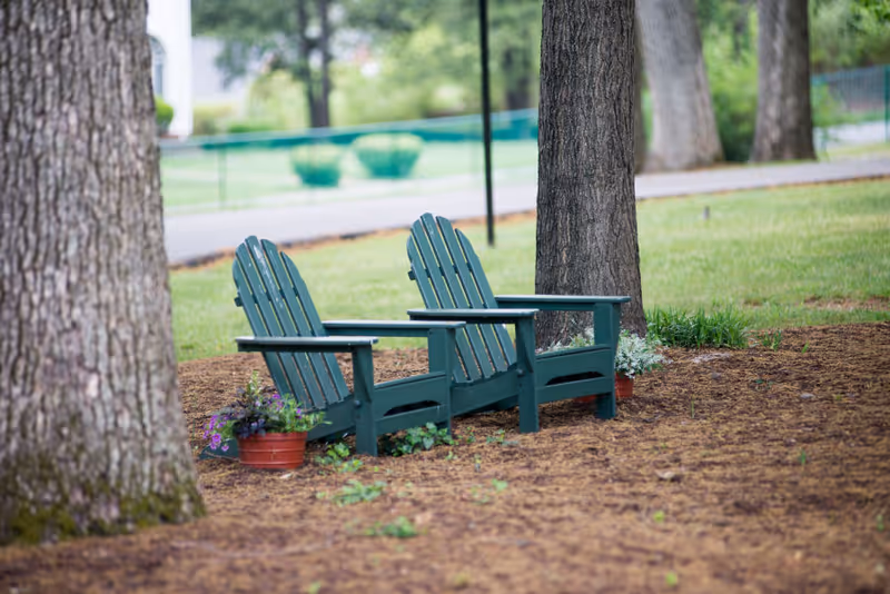 Two green Adirondack chairs under trees on a mulched lawn with potted plants and a road in the background.