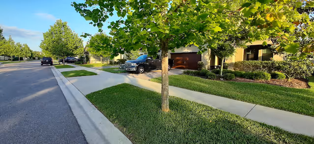 A suburban street view showing a sidewalk lined with green grass and trees. Several houses with garages and parked cars are visible along the street under a clear blue sky.