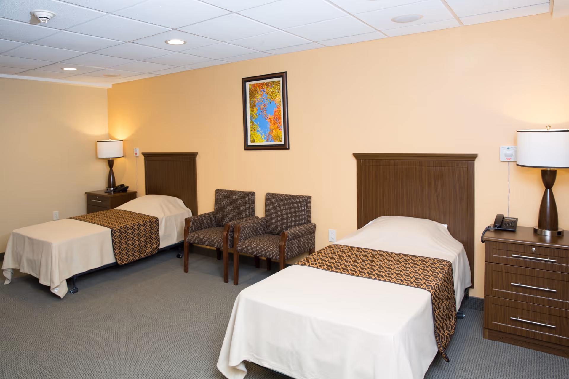 A room with two single beds each with a wooden headboard, beige bedspreads, and patterned brown runners. Between the beds are two upholstered chairs with wooden arms. On either side of the beds are wooden nightstands with lamps and a telephone on the right nightstand. A colorful framed artwork hangs on the beige wall above the chairs.