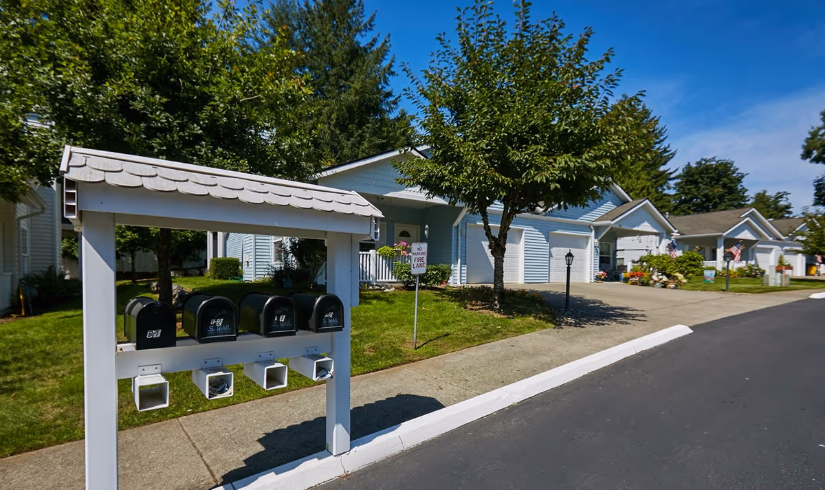 A row of black mailboxes under a white shelter in front of single-story blue homes and driveways on a sunny day.