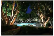 Nighttime view of an illuminated outdoor pool area framed by lit trees.