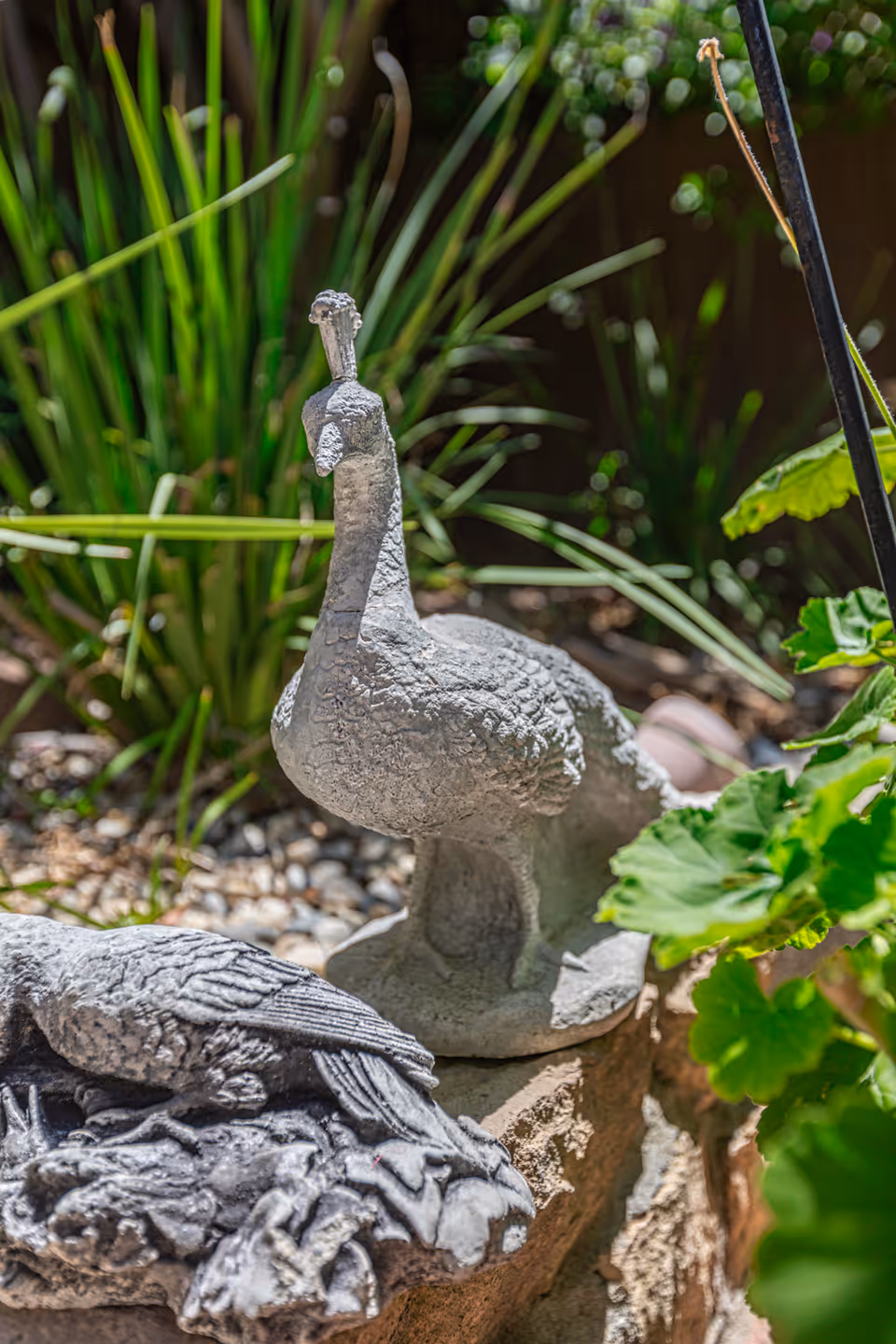 A close-up view of two stone bird sculptures in a garden setting, surrounded by green plants and pebbles.
