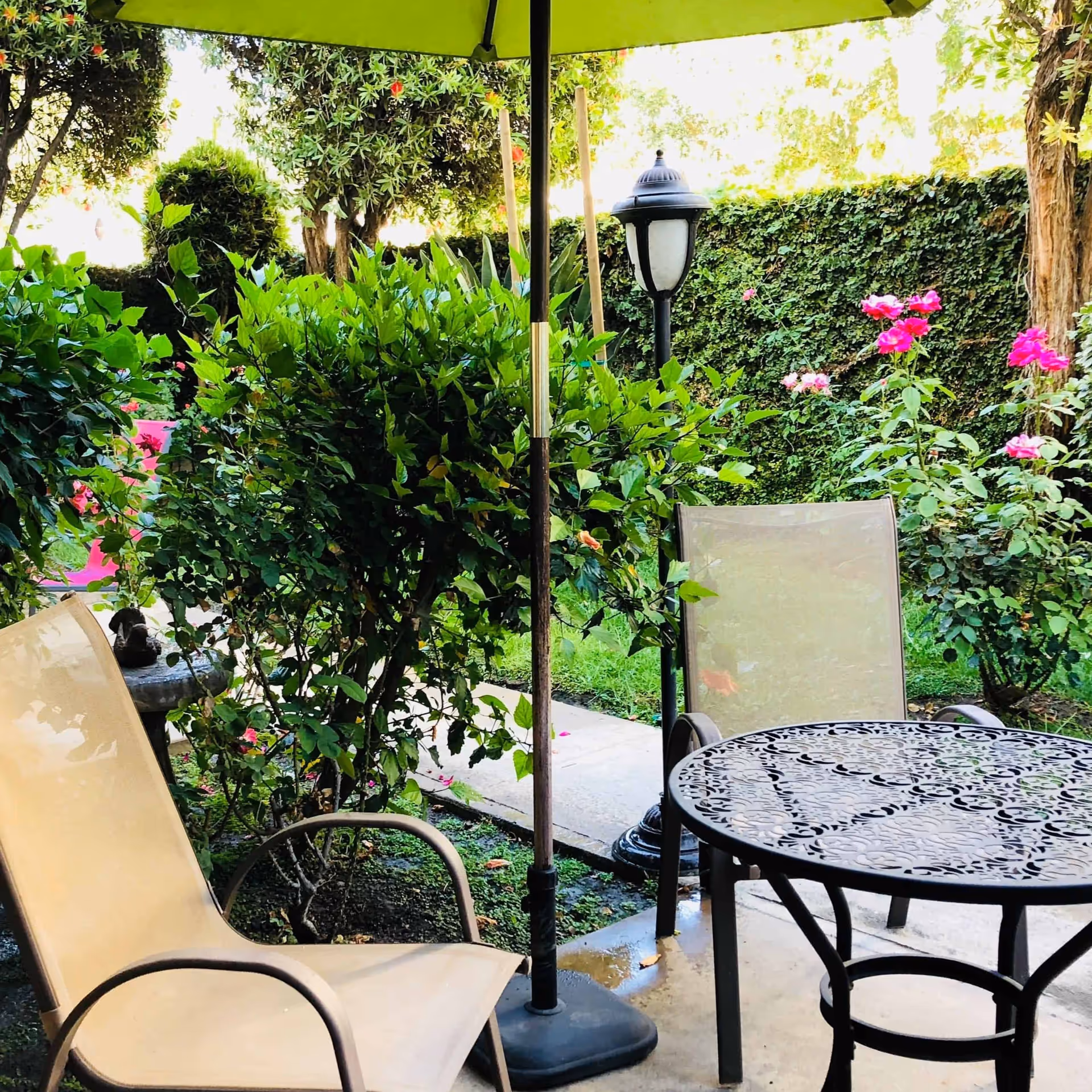 Outdoor patio area with two beige mesh chairs and a black metal table with intricate patterns. A large green umbrella is positioned above the table. Surrounding the patio are lush green bushes, pink flowers, a lamp post, and a hedge covered in ivy.