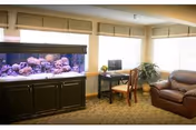 A cozy interior room featuring a large aquarium filled with coral on a dark wooden cabinet, a small desk with a computer and chair near the window, and a brown leather armchair. The room is well-lit with natural light coming through multiple windows with beige blinds.