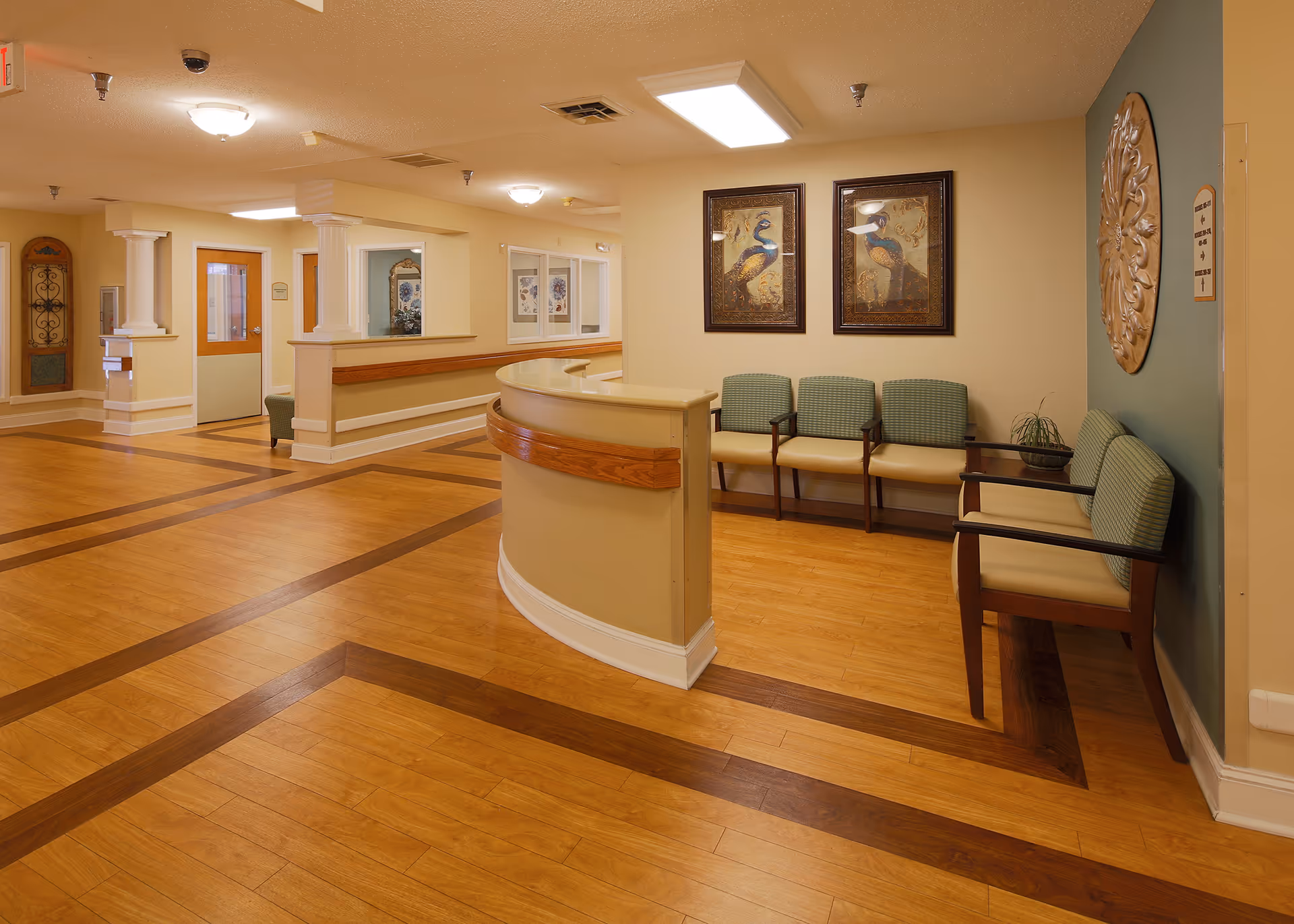 Reception lobby with a curved front desk, row of chairs, framed bird artwork, and wood-patterned floors.