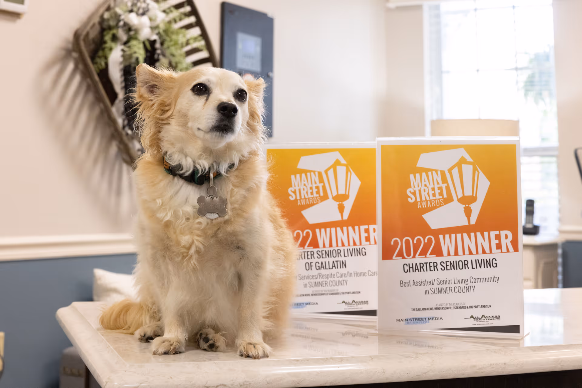 A small fluffy dog with a collar and tag sitting on a marble countertop next to two award plaques that read 'Main Street Awards 2022 Winner Charter Senior Living Best Assisted/Senior Living Community in Sumner County'. The background shows a window with blinds and part of a decorated wall.