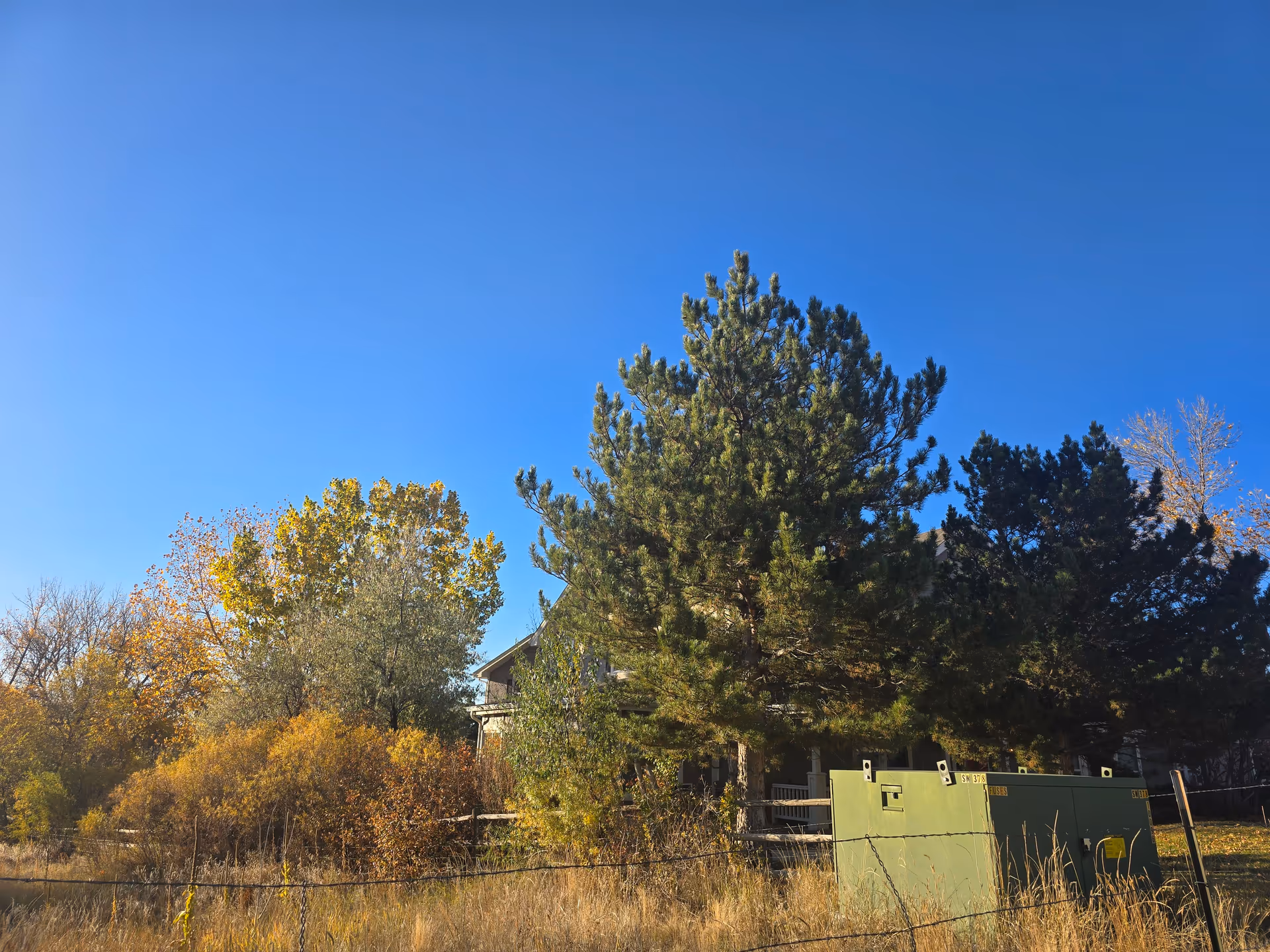 Large trees and shrubs partially obscure a house behind a green utility box and wire fence under a clear blue sky.