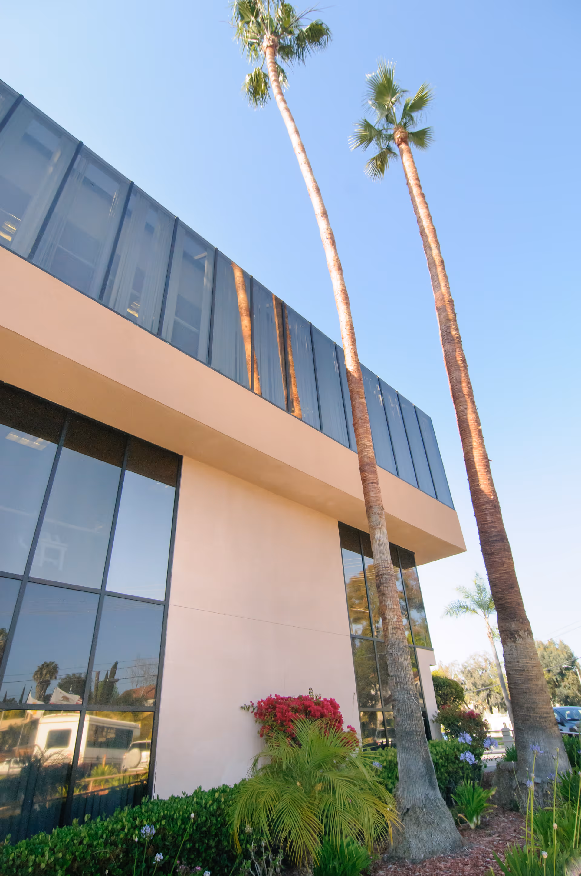 Exterior view of a modern building with large glass windows and beige walls, surrounded by tall palm trees and landscaped greenery under a clear blue sky.