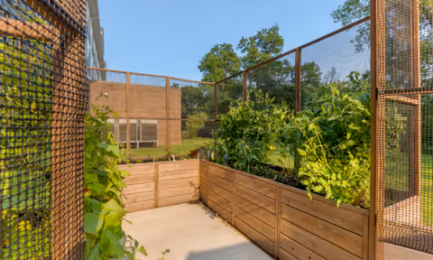 Raised wooden planter beds filled with greenery enclosed by mesh fencing on an outdoor patio beside a brick building.