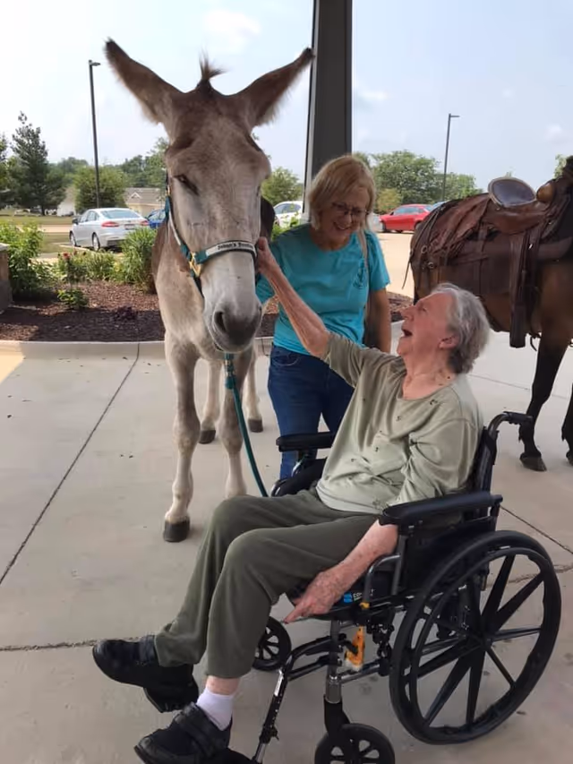 An elderly woman in a wheelchair smiling and reaching out to pet a donkey while a woman standing behind the donkey watches and smiles. The scene is outdoors on a paved area with cars and greenery in the background.