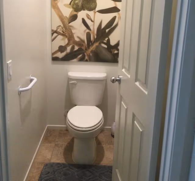 A small bathroom with a white toilet centered against the back wall, a gray textured bath mat on the floor, a white grab bar on the left wall, and a large framed picture of a plant hanging above the toilet. The door to the bathroom is partially open.