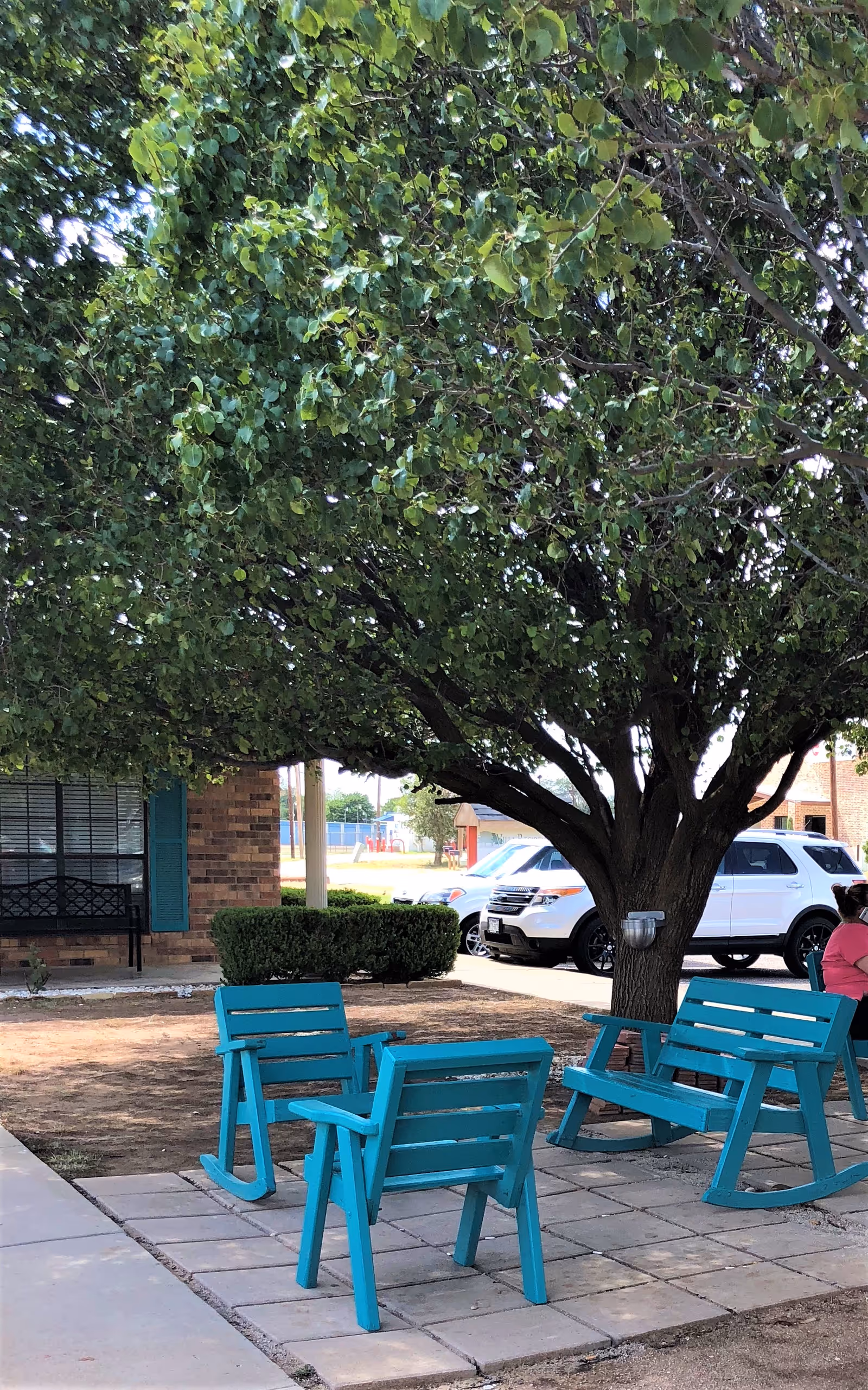 A shaded outdoor seating area with turquoise wooden chairs under a large tree in front of a brick building and parked cars.