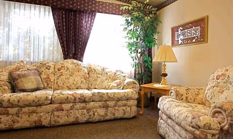 Floral-patterned living room with couches, a side table, lamp, plant, and curtains.