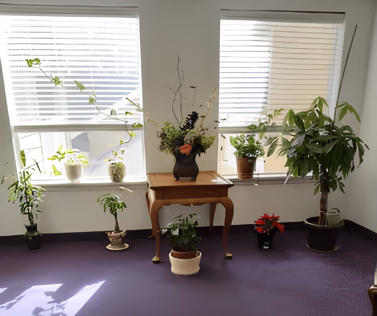 A small wooden table with a decorative plant arrangement sits in front of two windows with white blinds. Several potted plants of various sizes are placed on the floor and windowsills around the table. The room has a purple carpet and white walls.