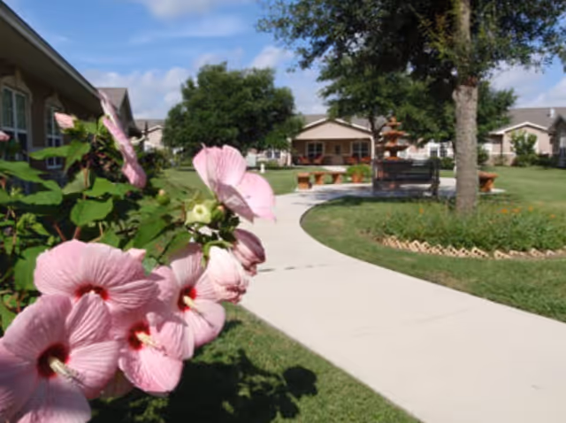 A curved concrete walkway through a sunny courtyard with pink hibiscus flowers in the foreground, benches and a fountain, and single-story assisted-living buildings and trees in the background.