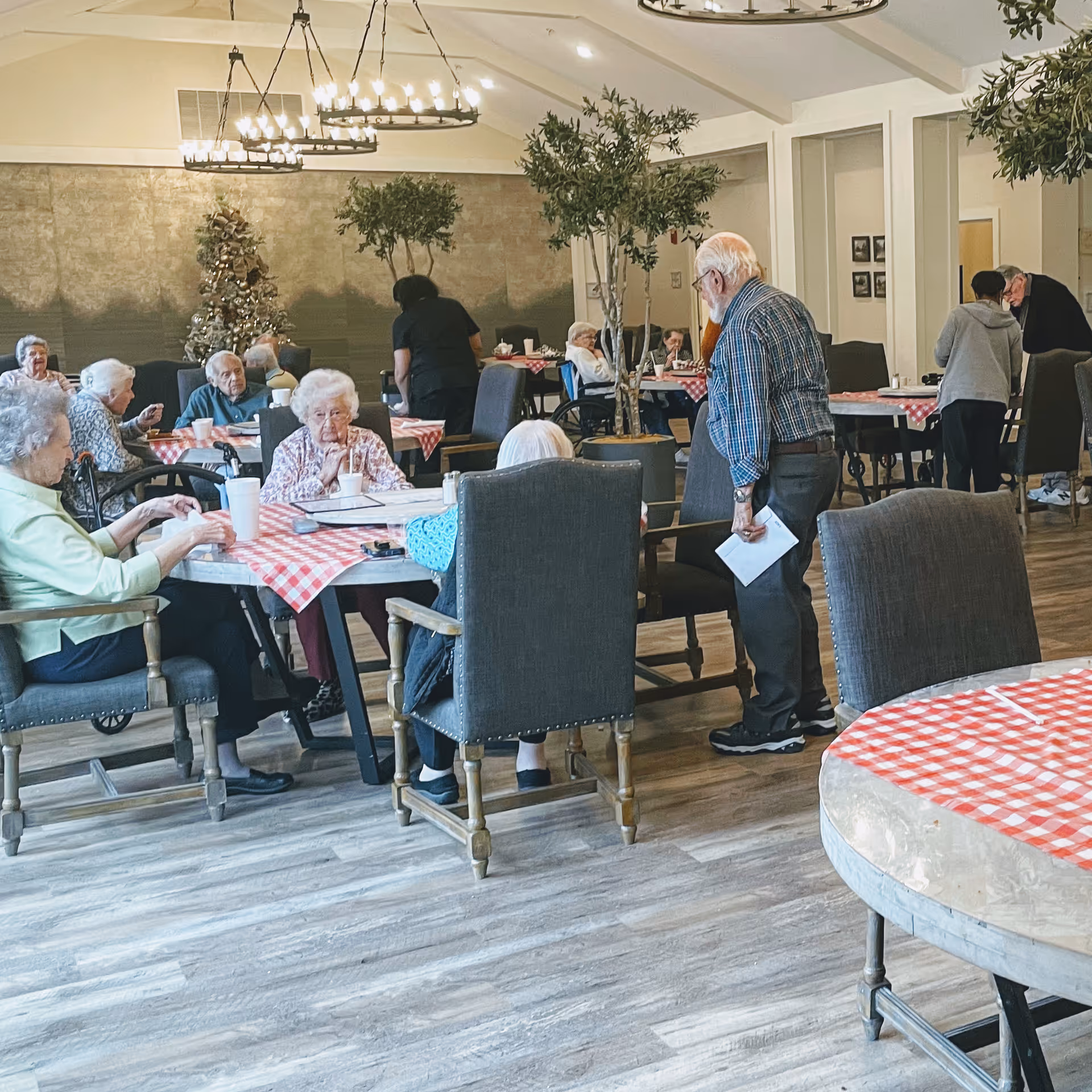 A dining room in an assisted living facility with elderly residents seated around tables covered with red and white checkered tablecloths. Some residents are eating or drinking, while staff members attend to them. The room has wooden flooring, potted trees, and a decorated Christmas tree in the background.