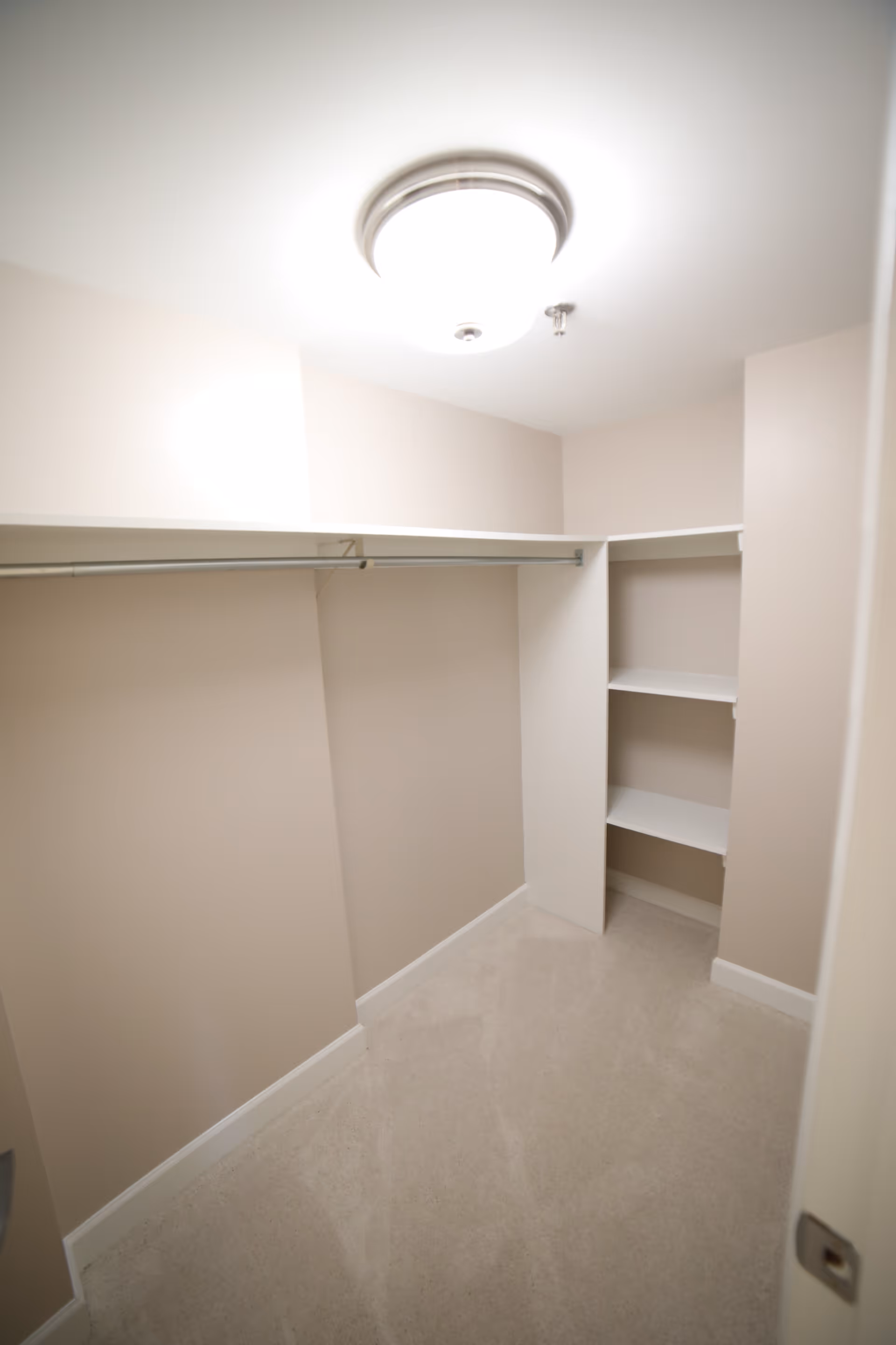 Empty walk-in closet with beige walls, beige carpet, a ceiling light fixture, a hanging rod along one wall, and built-in shelves in the corner.