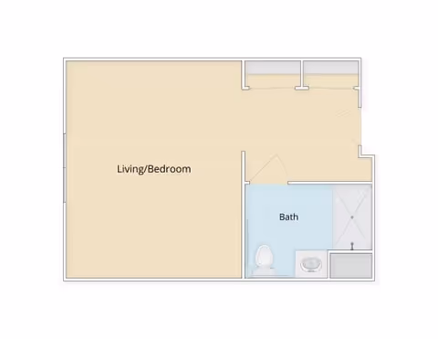 Floor plan layout showing a combined living and bedroom area, a bathroom with a toilet, sink, and shower, and an entry area with closets.
