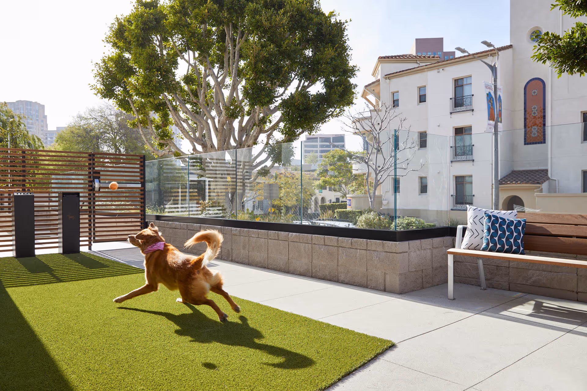 A dog wearing a pink bandana is playing and jumping to catch a ball on a small artificial grass area in an outdoor patio. There is a wooden bench with two decorative pillows on the right side, and glass fencing with a view of trees and buildings in the background.